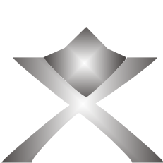 MSO-dlx-logo-gross